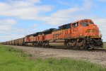 BNSF 8422 8528